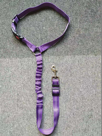 Secure Dog Restraint, Adjustable Fit