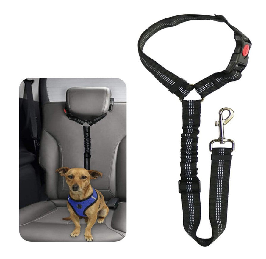 Secure Dog Restraint, Adjustable Fit
