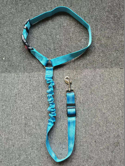 Secure Dog Restraint, Adjustable Fit