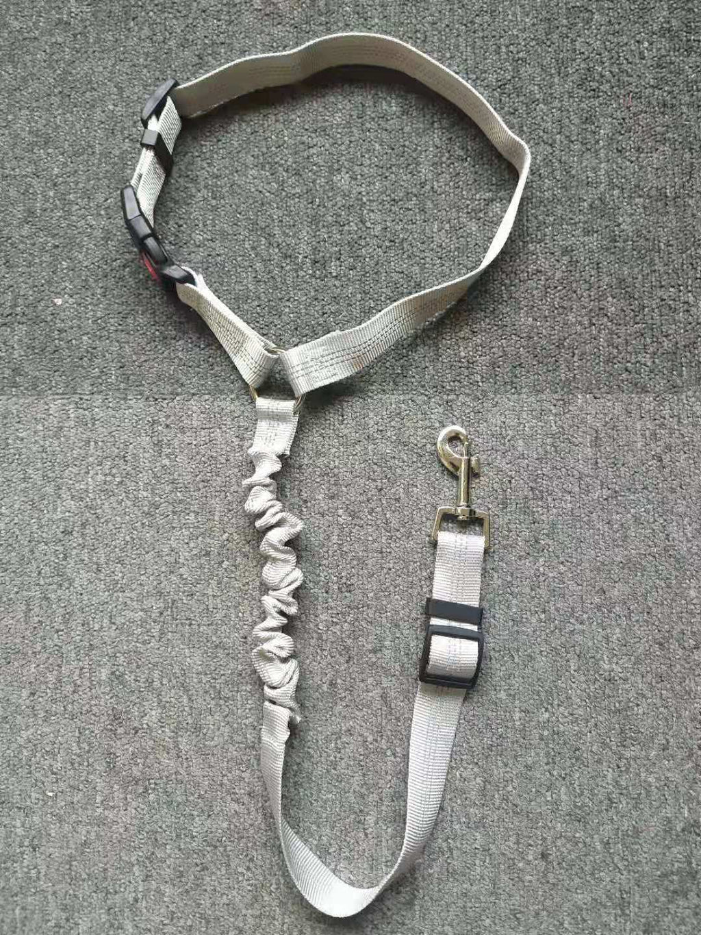 Secure Dog Restraint, Adjustable Fit