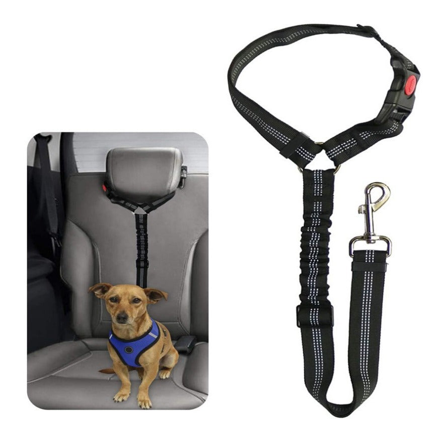 Secure Dog Restraint, Adjustable Fit