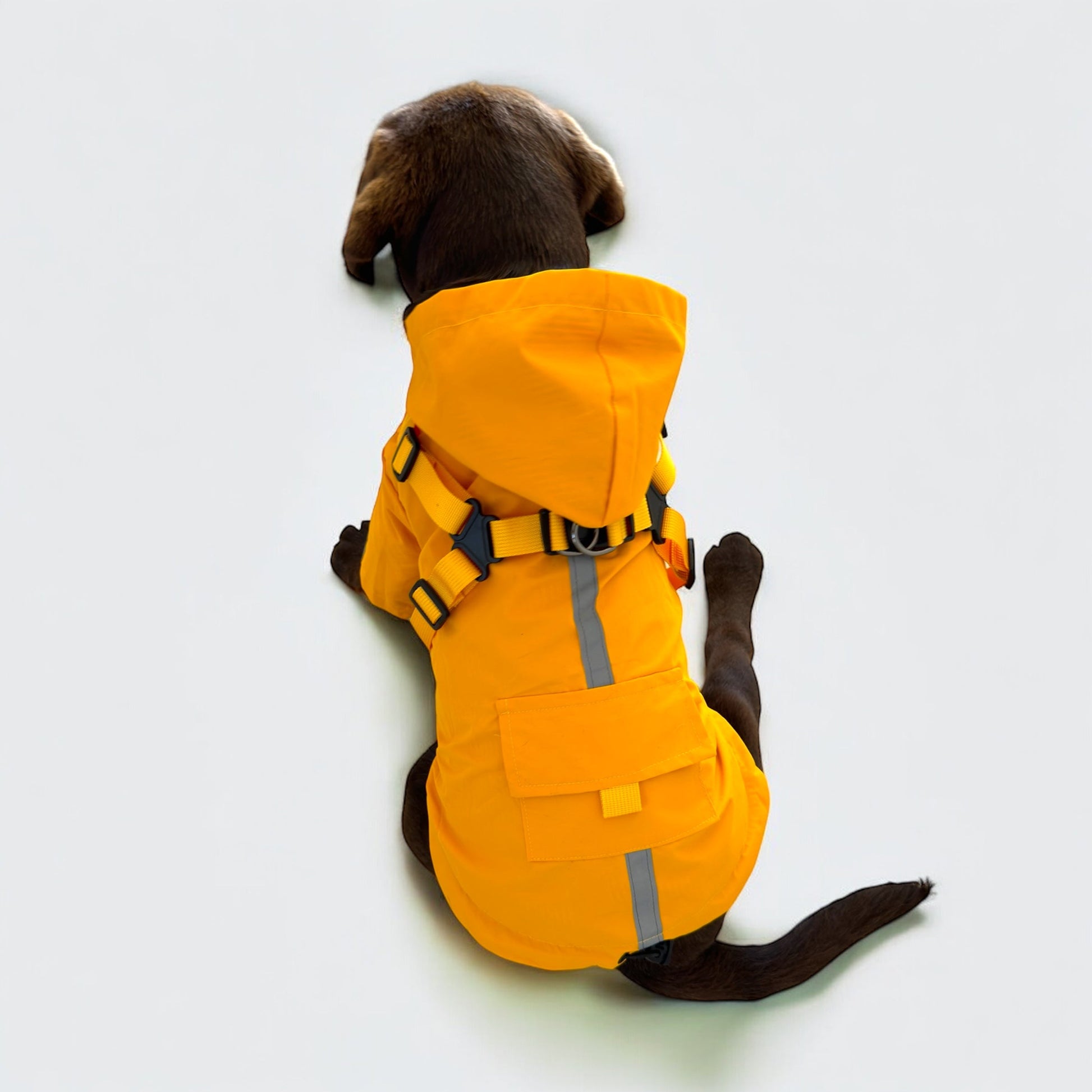 Dog 3 in 1 Rain Coat