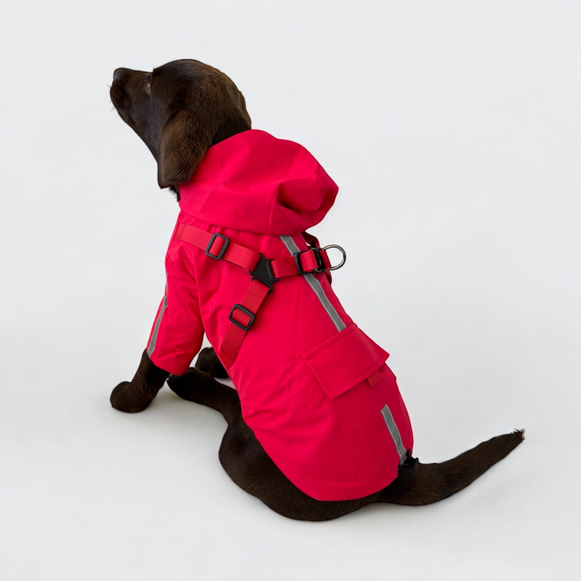 Dog 3 in 1 Rain Coat