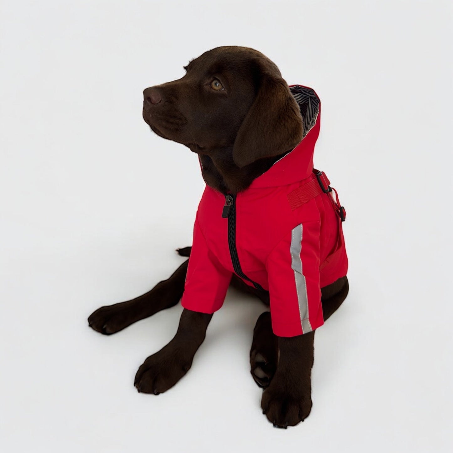 3 in 1 Dog Rain Coat with Harness & Full Body Coverage