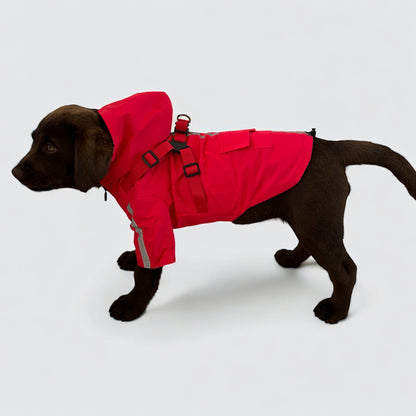 3 in 1 Dog Rain Coat with Harness & Full Body Coverage