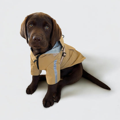 3 in 1 Dog Rain Coat with Harness & Full Body Coverage