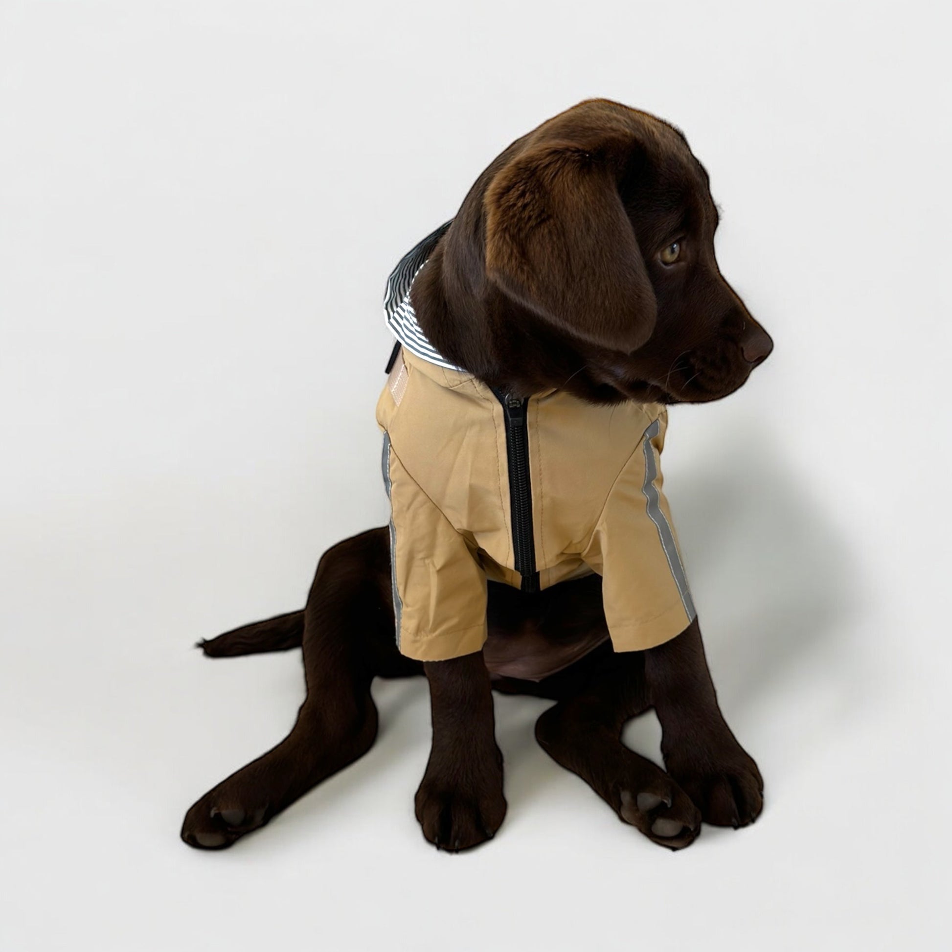 Dog 3 in 1 Rain Coat