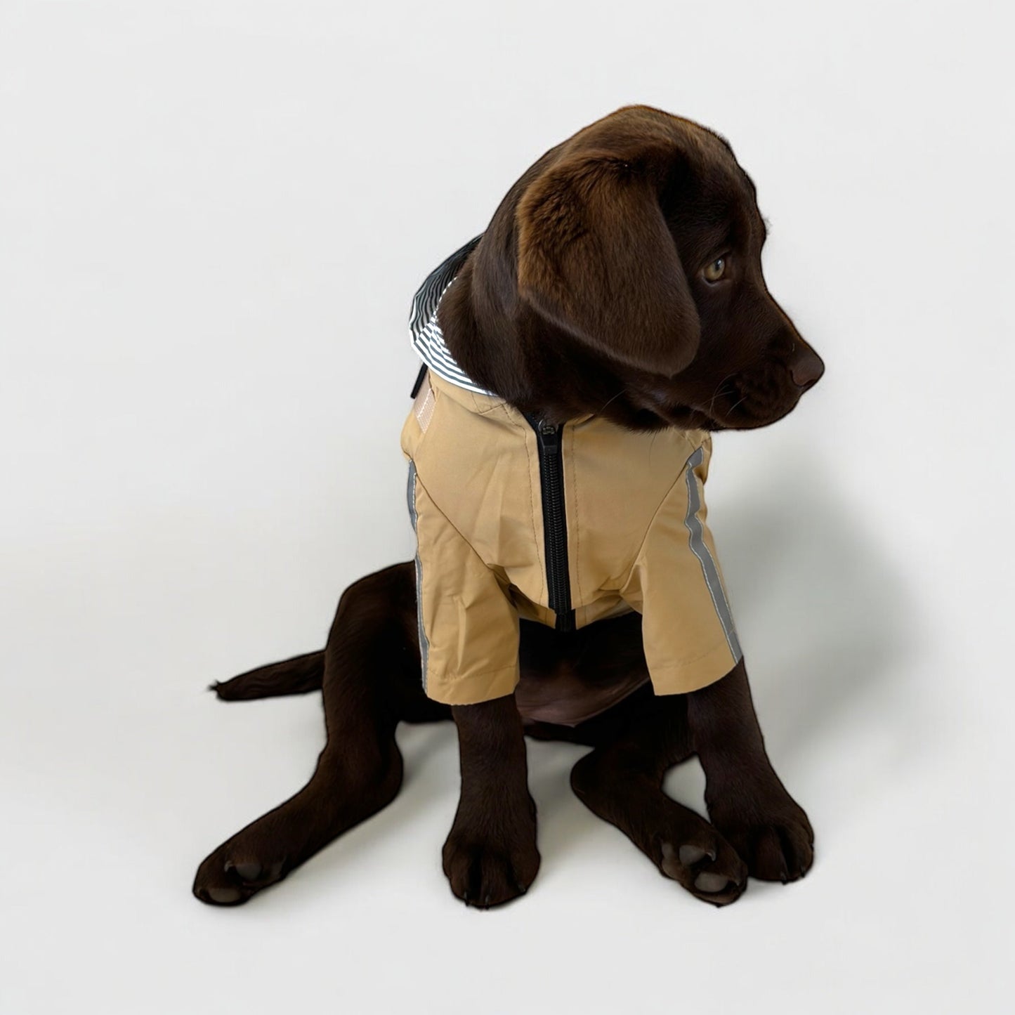 3 in 1 Dog Rain Coat with Harness & Full Body Coverage