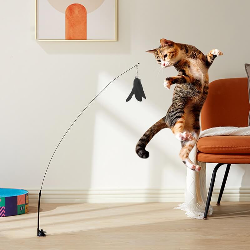 Interactive Bird Cat Toy, Engaging and Stimulating