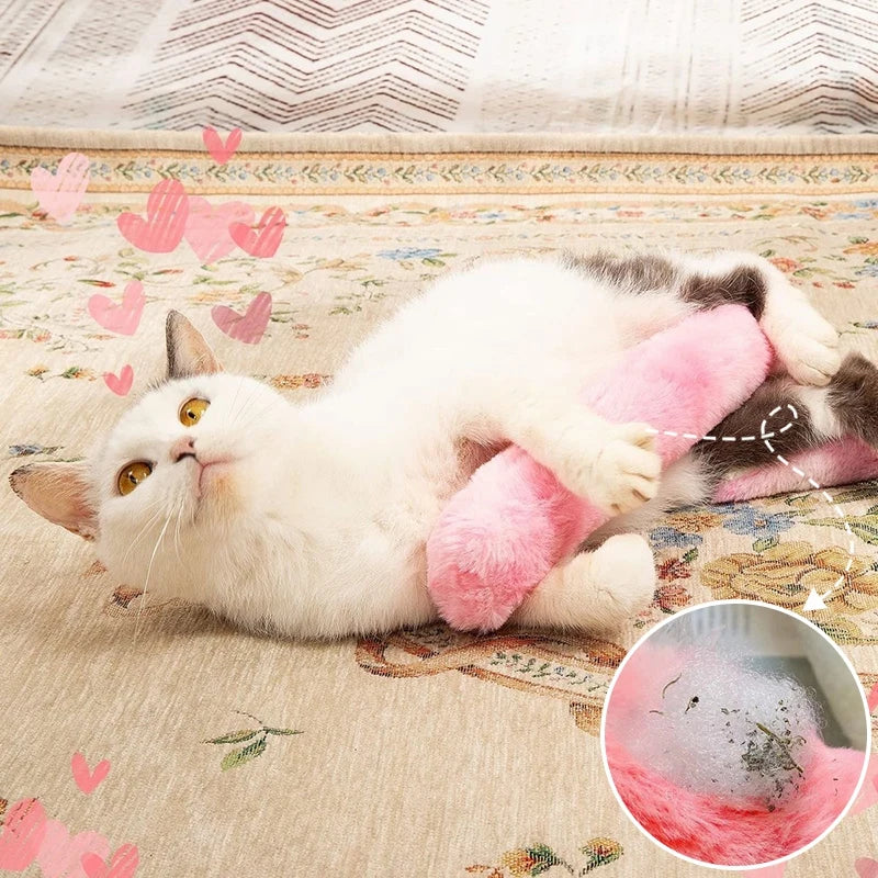 Jouet coussin à l'herbe à chat