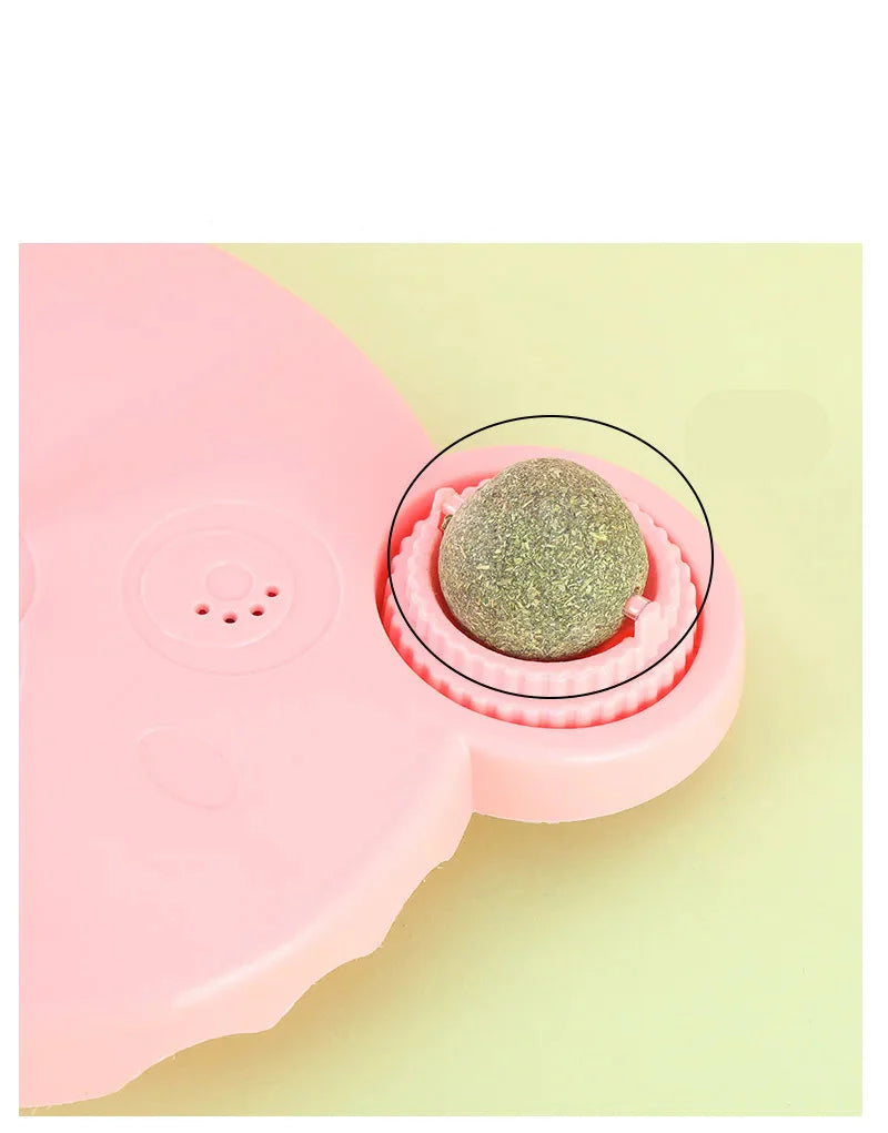 Wobbling Pet Treat Dispenser, Interactive Design