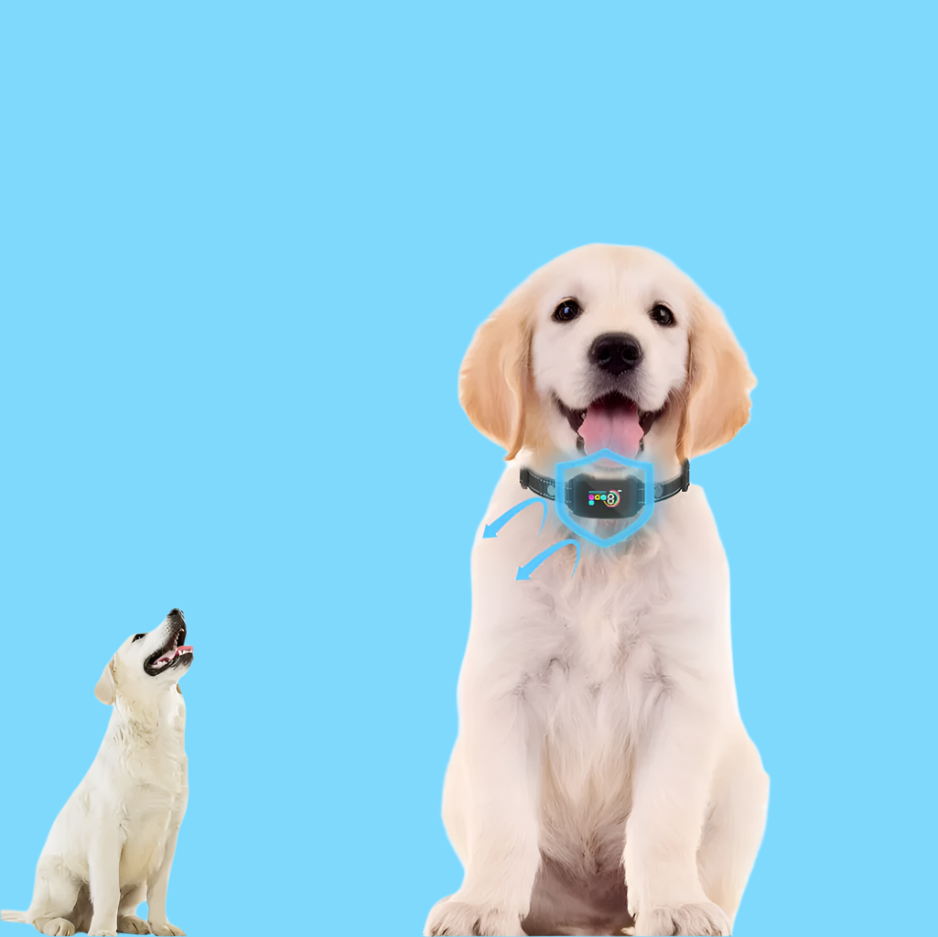 Adjustable Dog Training Collar, Multi-Mode Functionality