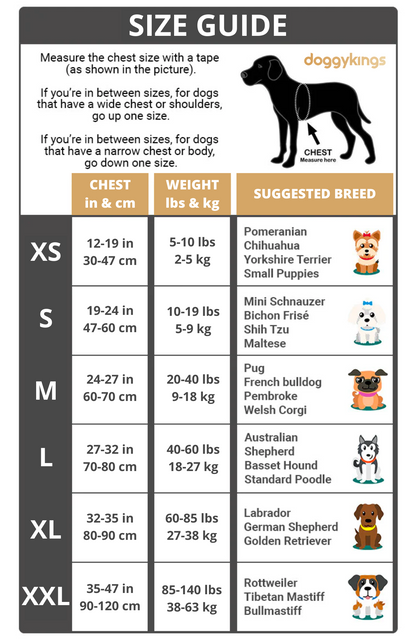 Personalized No-Pull Dog Harness  Waterproof, Reflective & Customizable