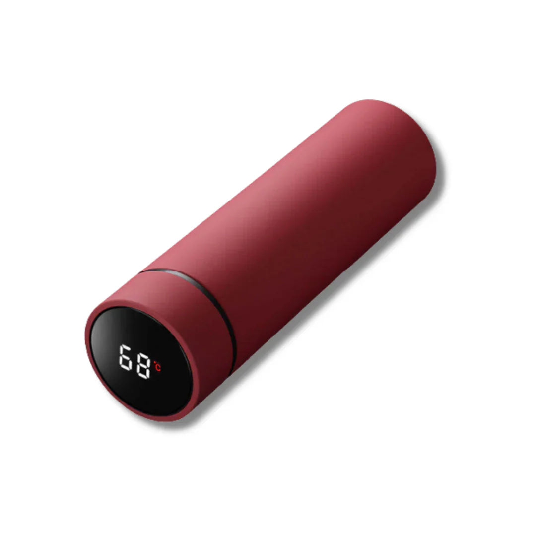 Digital Temperature Indicator Bottle, Stainless Steel Insulated Mug for Hot and Cold Beverages
