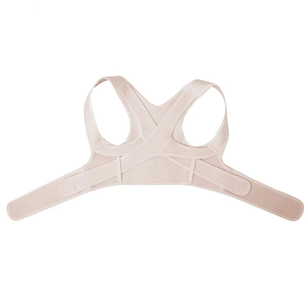 Concealed Back Support, Adjustable