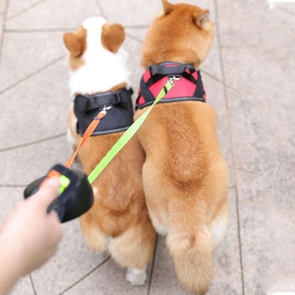 Practical Double Dog Leash, Anti-Tangle Design