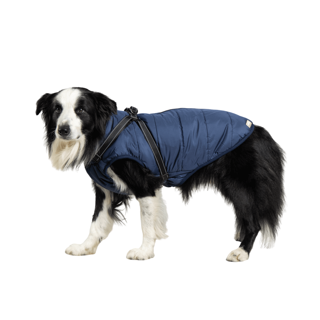 Doggy Kings 3-in-1 Jacket