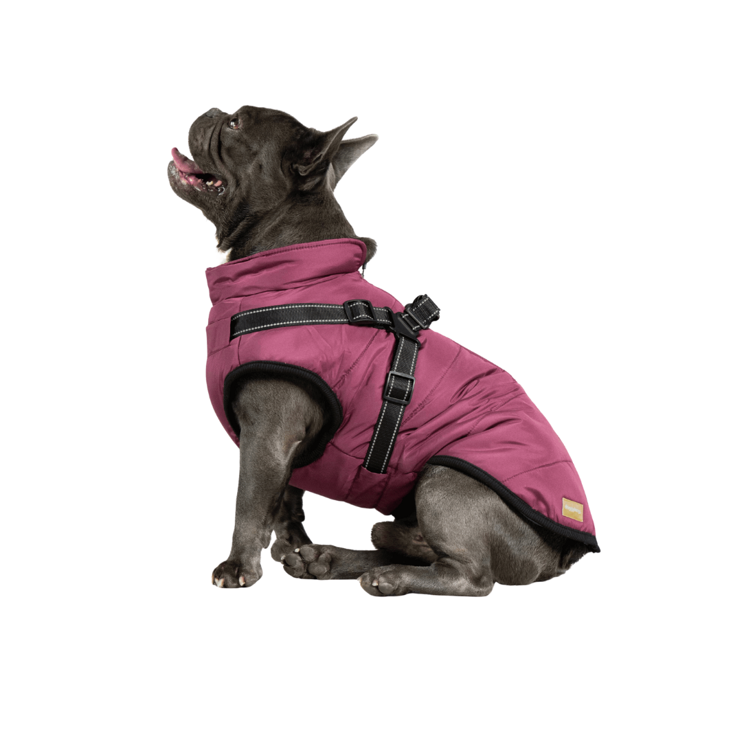 Doggy Kings 3-in-1 Jacket