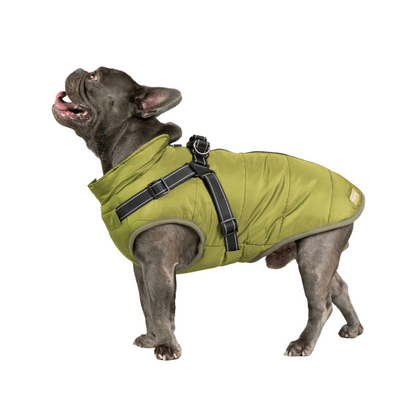 Doggy Kings 3-in-1 Jacket