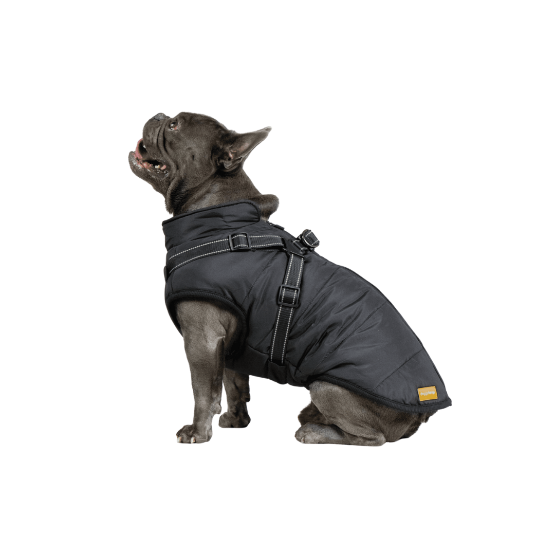 Doggy Kings 3-in-1 Jacket