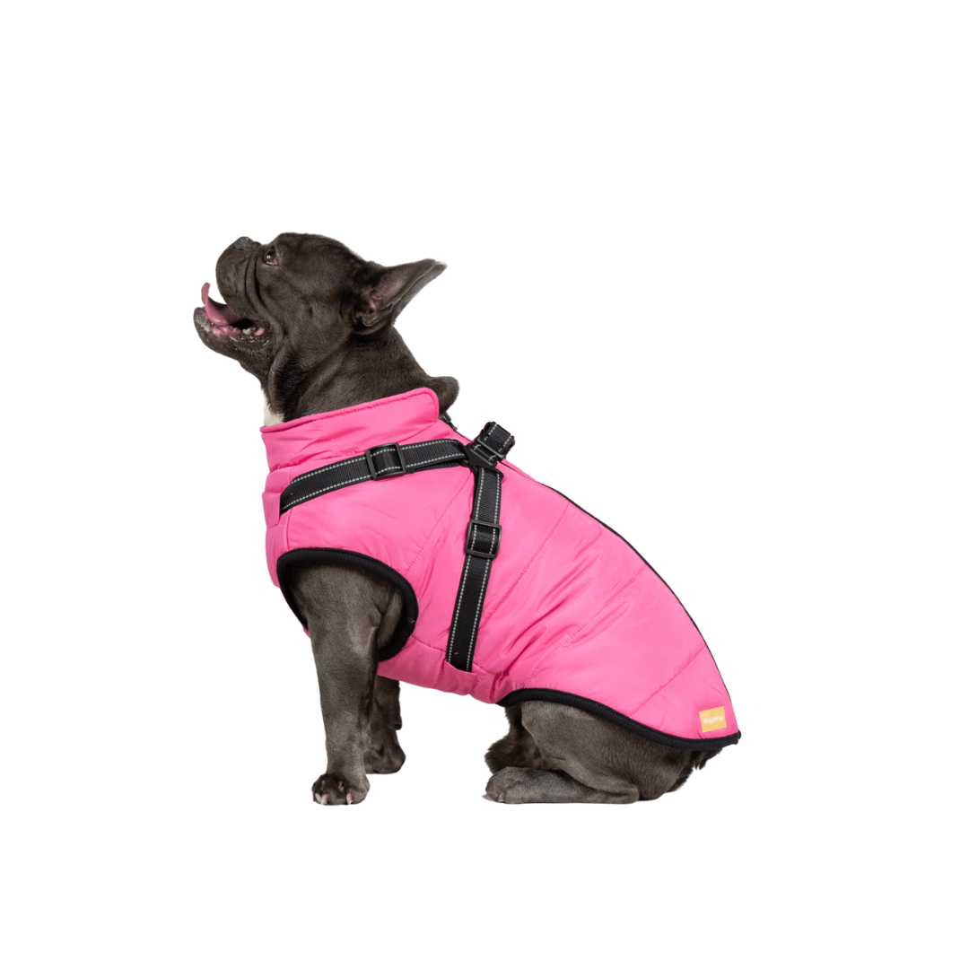 Doggy Kings 3-in-1 Jacket
