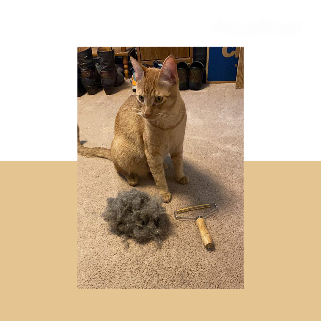 Pet Hair Remover