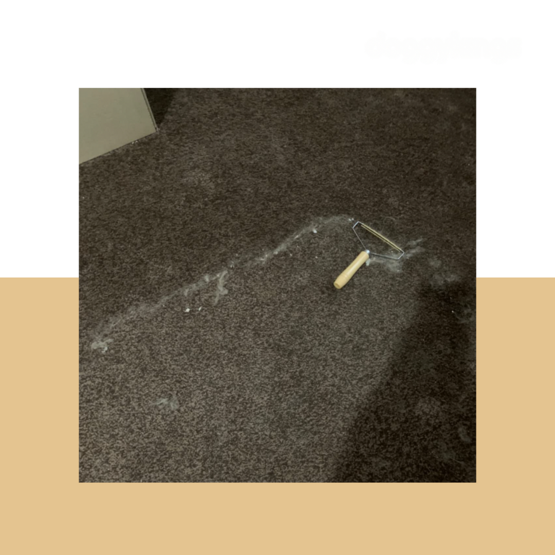 Pet Hair Remover