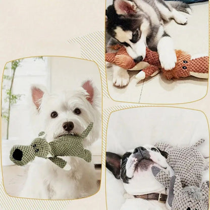 Durable Dog Toy, Designed for Strong Teeth