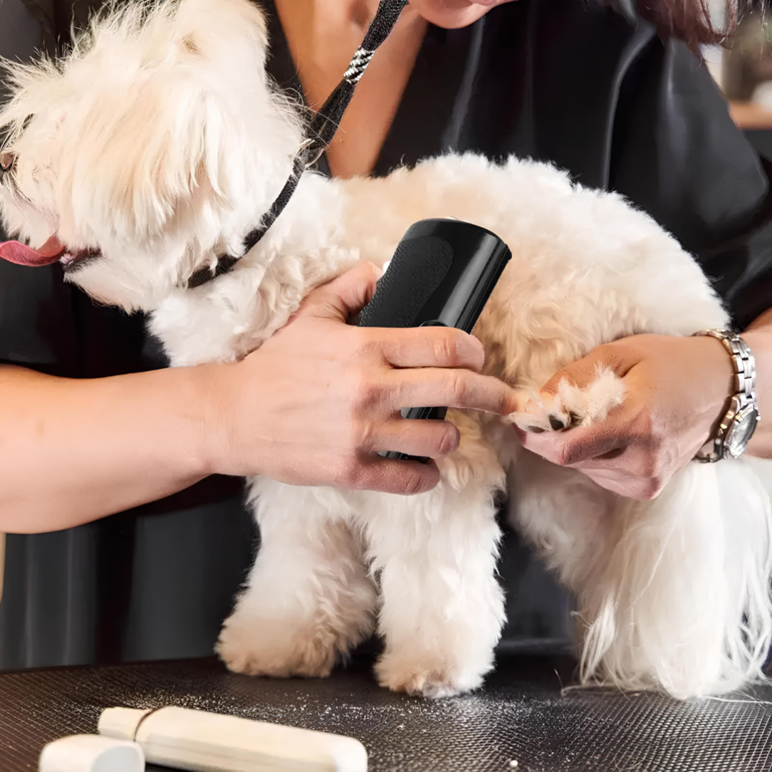 Fellwunder Deshedding Brush for Dogs