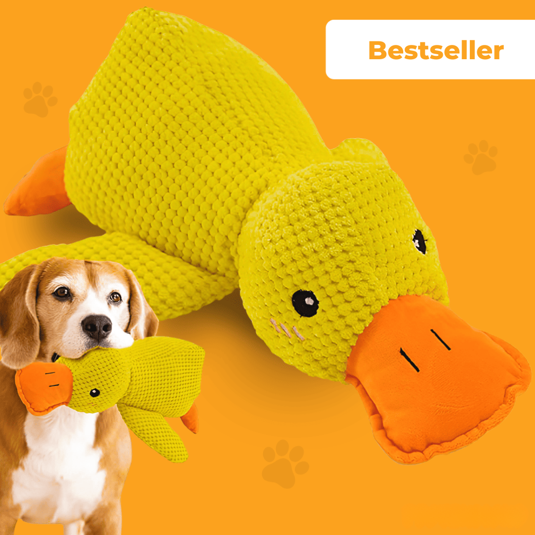 Jouet anti-stress en forme de canard pour chiens, compagnon de jeu apaisant et durable