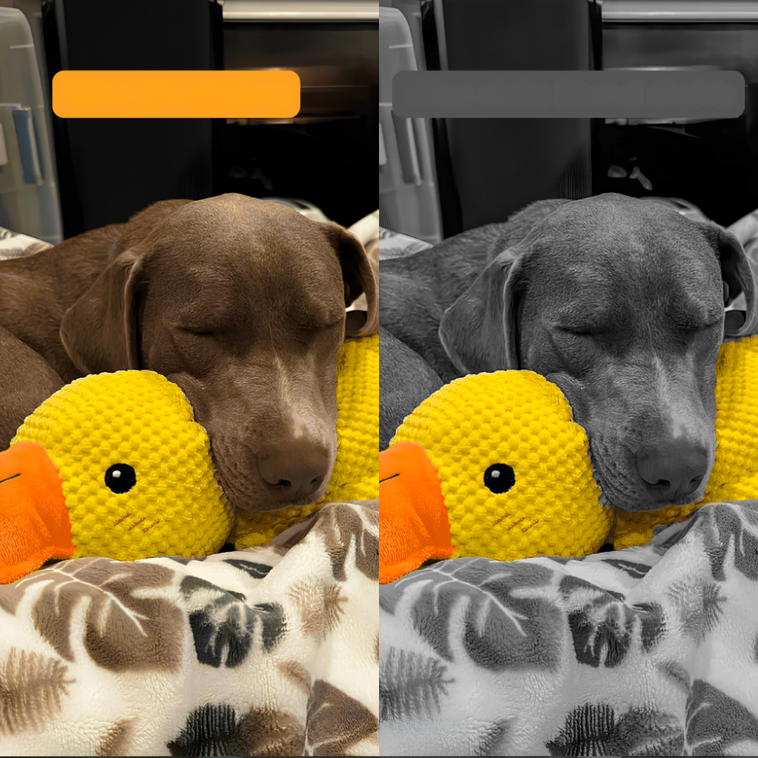 Jouet anti-stress en forme de canard pour chiens, compagnon de jeu apaisant et durable