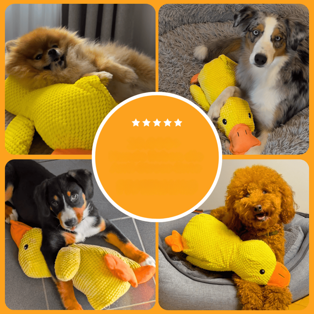 Jouet anti-stress en forme de canard pour chiens, compagnon de jeu apaisant et durable