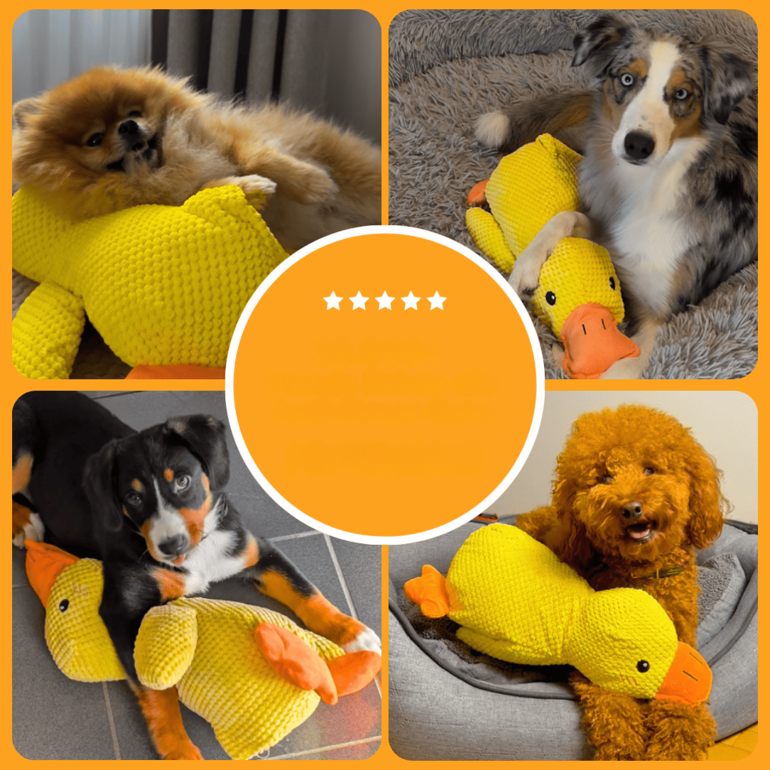 Jouet anti-stress en forme de canard pour chiens, compagnon de jeu apaisant et durable