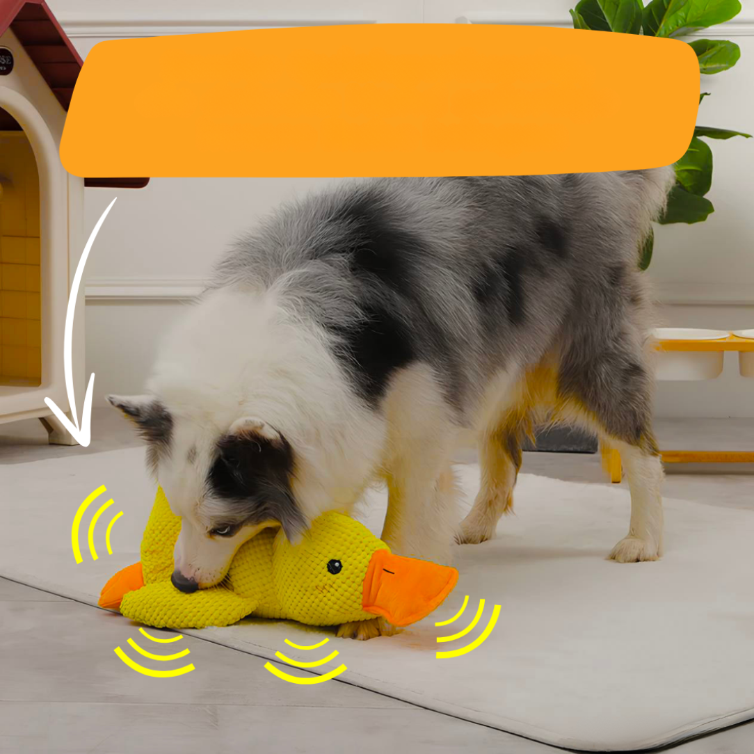Jouet anti-stress en forme de canard pour chiens, compagnon de jeu apaisant et durable
