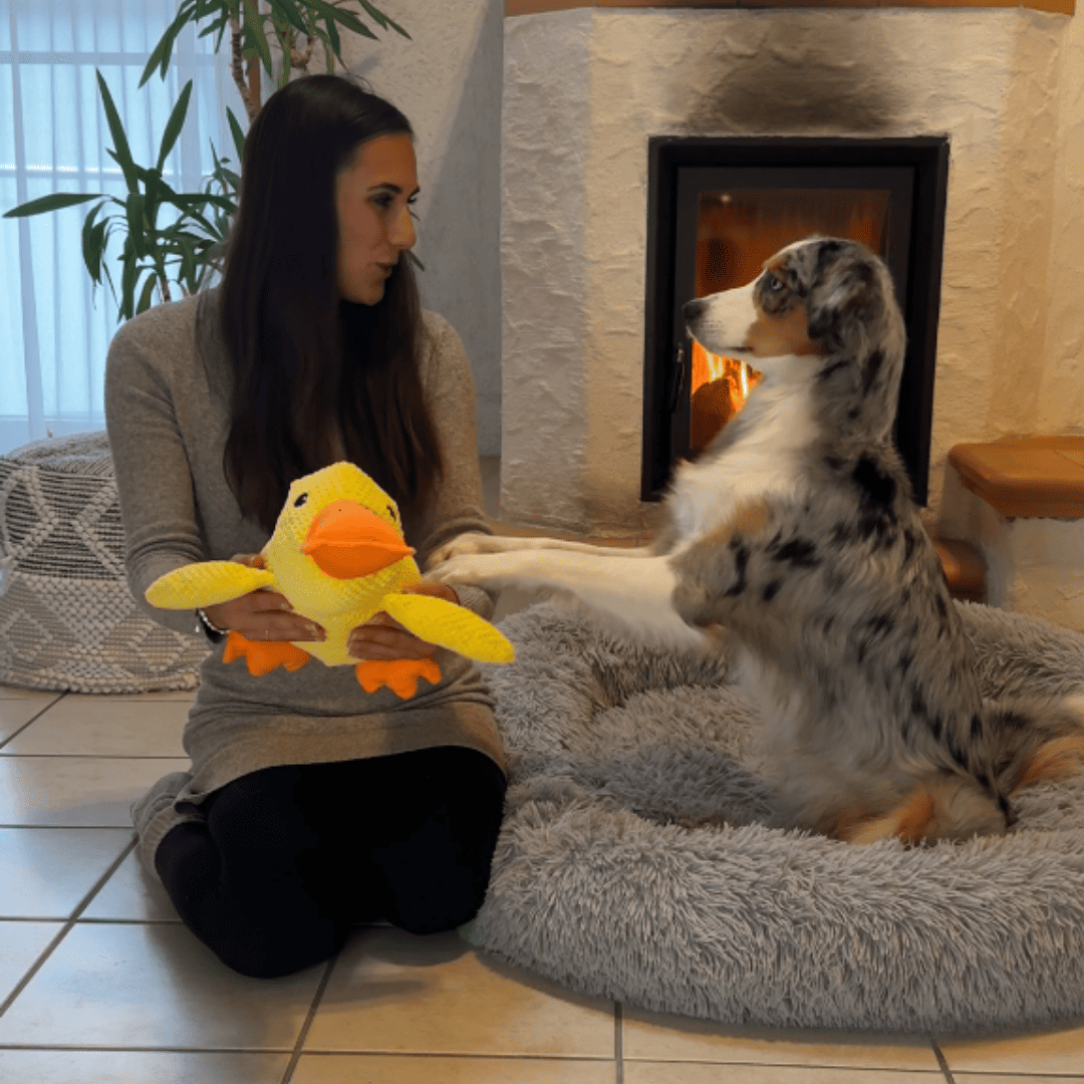 Jouet anti-stress en forme de canard pour chiens, compagnon de jeu apaisant et durable