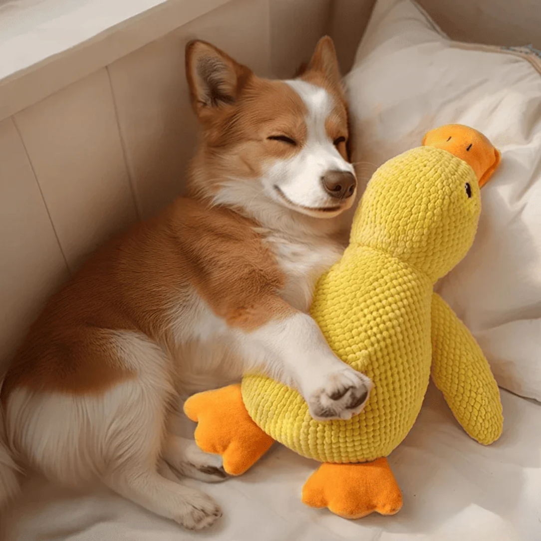Jouet anti-stress en forme de canard pour chiens, compagnon de jeu apaisant et durable