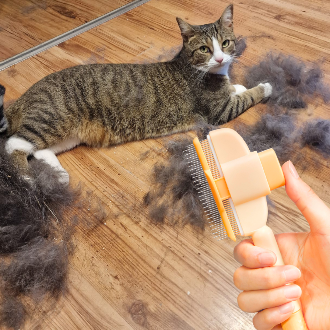 2-in-1 Cat Grooming Brush – For Healthier Fur & Less Shedding
