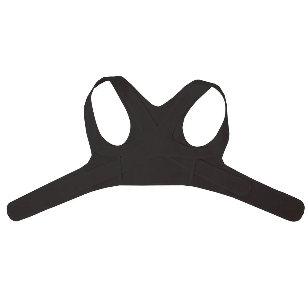 Concealed Back Support, Adjustable