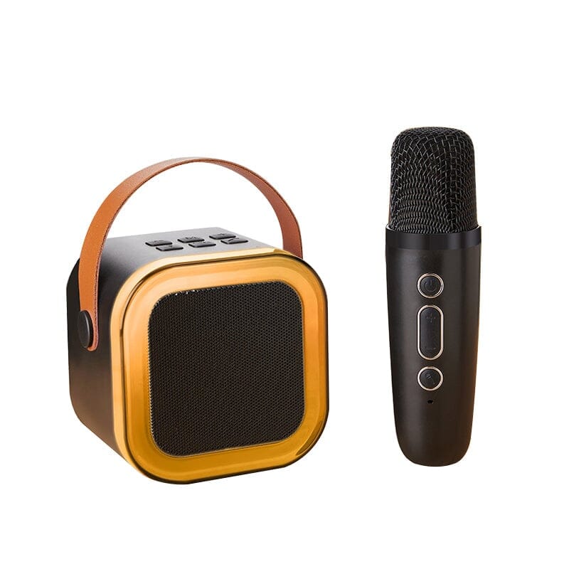 Portable Mini Karaoke Machine  Wireless Duet