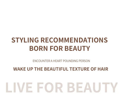 High-Power Hair Dryer, Dual Temperature Settings