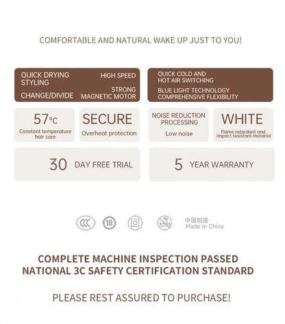 High-Power Hair Dryer, Dual Temperature Settings