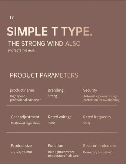 High-Power Hair Dryer, Dual Temperature Settings