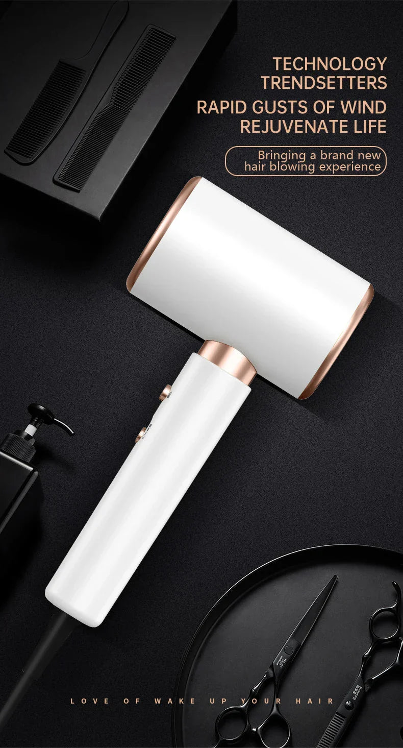 High-Power Hair Dryer, Dual Temperature Settings