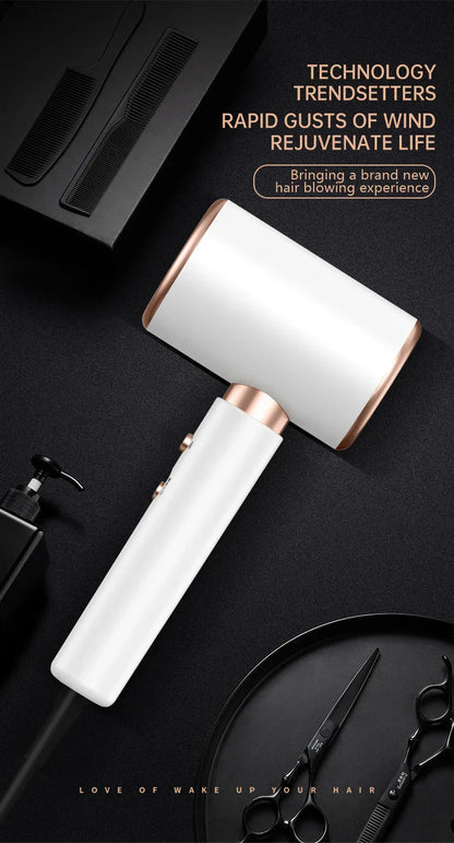 High-Power Hair Dryer, Dual Temperature Settings