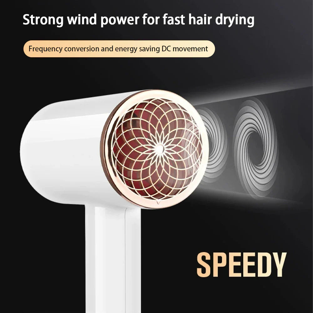 High-Power Hair Dryer, Dual Temperature Settings
