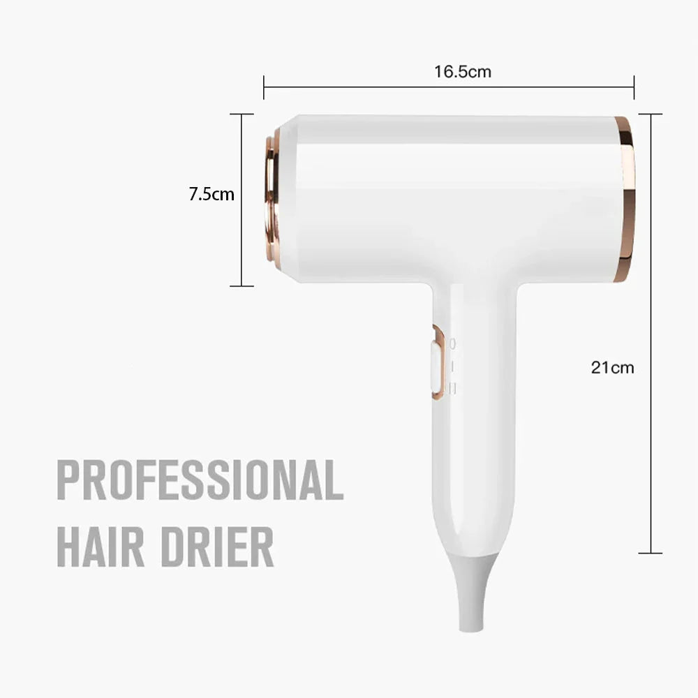 High-Power Hair Dryer, Dual Temperature Settings