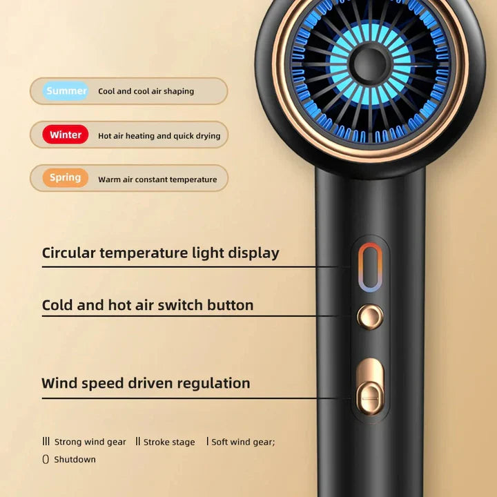 High-Power Hair Dryer, Dual Temperature Settings