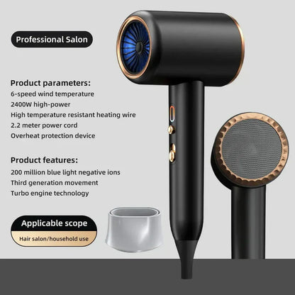 High-Power Hair Dryer, Dual Temperature Settings