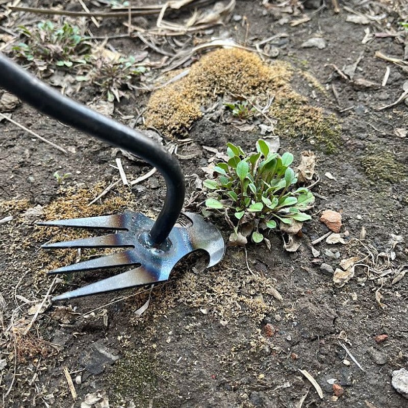 Garden Weed Remover Tool