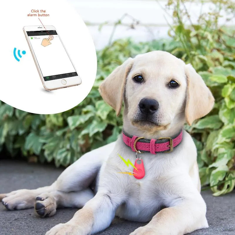 Smart Pet GPS Tracker, Compact Design